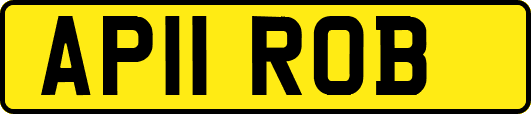 AP11ROB