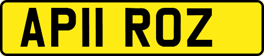 AP11ROZ