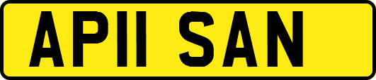 AP11SAN