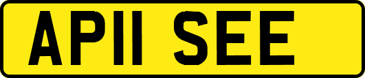 AP11SEE