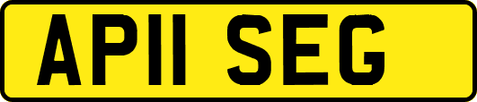 AP11SEG
