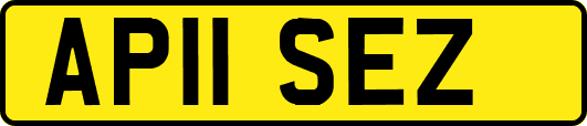 AP11SEZ