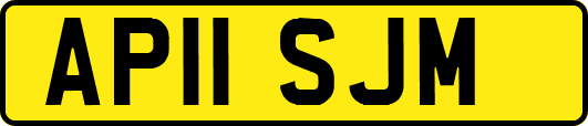 AP11SJM