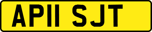 AP11SJT