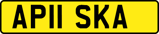 AP11SKA