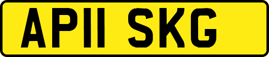 AP11SKG