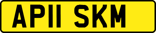 AP11SKM
