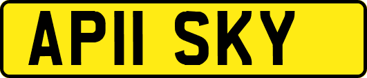 AP11SKY