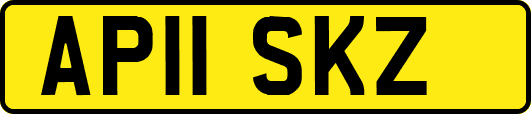 AP11SKZ