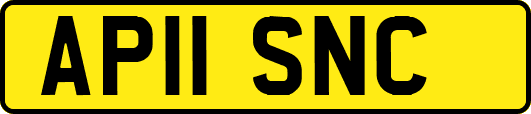 AP11SNC