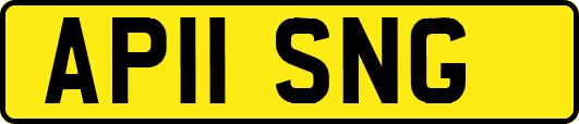 AP11SNG