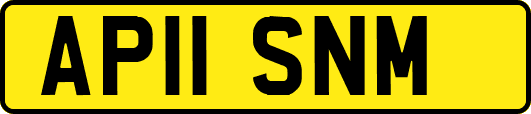 AP11SNM