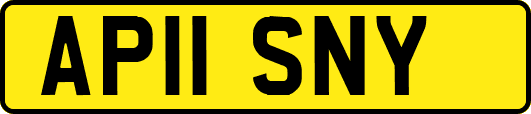 AP11SNY