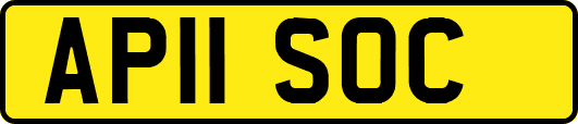 AP11SOC