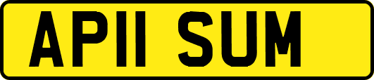 AP11SUM
