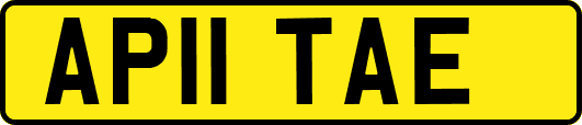 AP11TAE