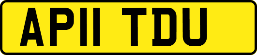 AP11TDU