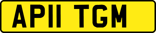 AP11TGM