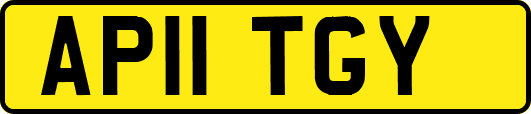 AP11TGY