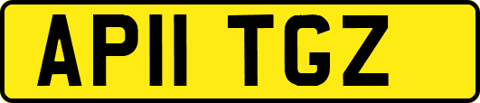 AP11TGZ
