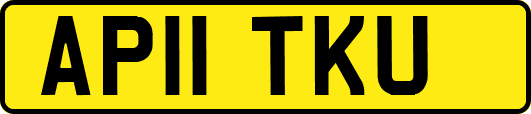 AP11TKU