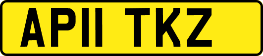 AP11TKZ