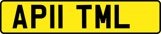 AP11TML