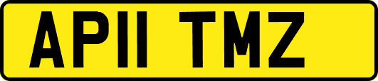 AP11TMZ