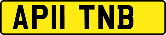 AP11TNB