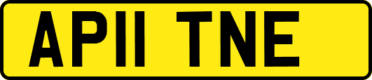 AP11TNE