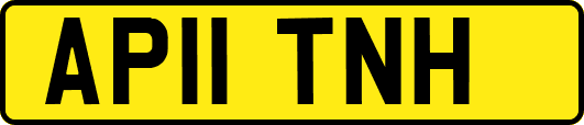 AP11TNH
