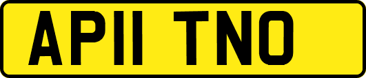 AP11TNO