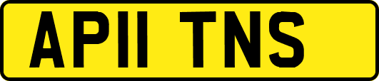 AP11TNS