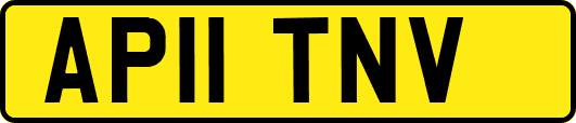 AP11TNV