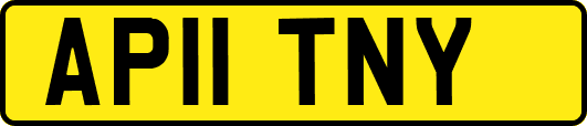 AP11TNY