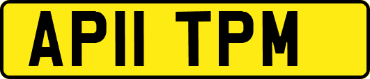 AP11TPM
