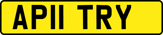 AP11TRY