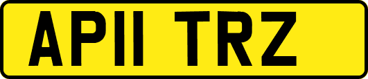 AP11TRZ
