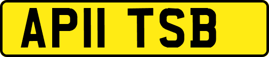 AP11TSB