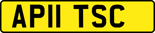 AP11TSC