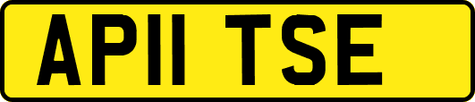 AP11TSE
