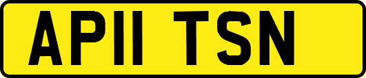AP11TSN