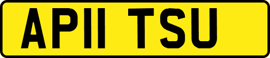 AP11TSU