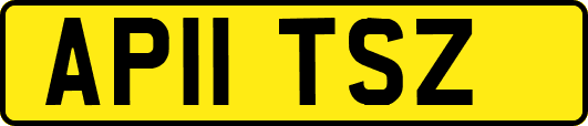 AP11TSZ