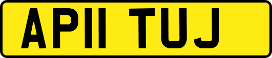 AP11TUJ