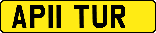 AP11TUR