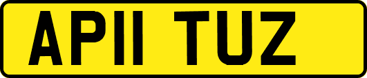 AP11TUZ