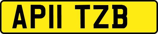 AP11TZB