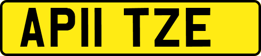 AP11TZE