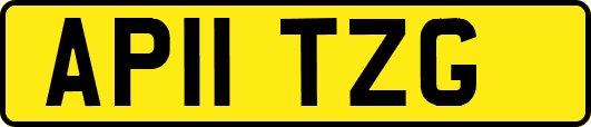 AP11TZG